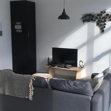 Loft 2 Personnes Climatise Parking Prive Jardin Obernai