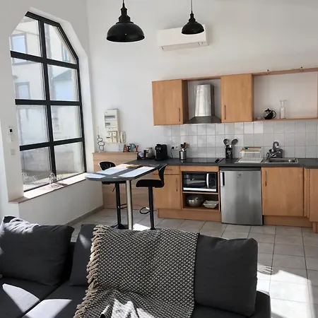 Prázdninový dům Loft 2 Personnes Climatise Parking Prive Jardin