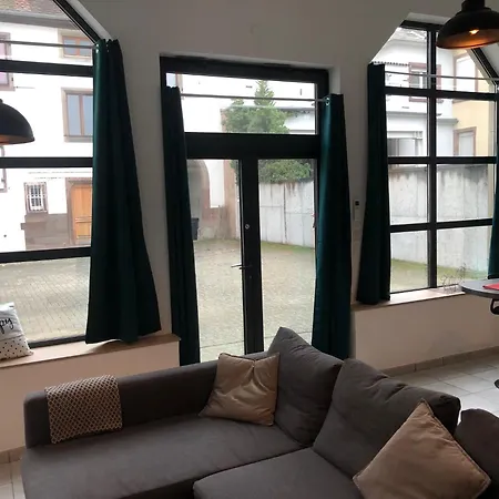 Loft 2 Personnes Climatise Parking Prive Jardin Obernai